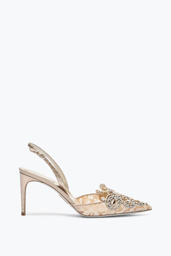 joyas veneziana champagne slingback 80 rene caovilla