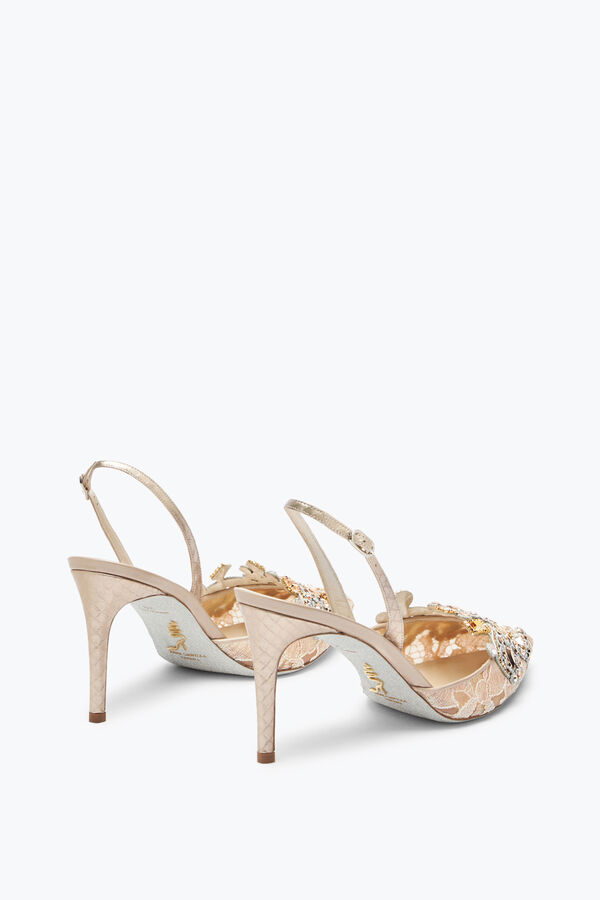 joyas veneziana champagne slingback 80 rene caovilla